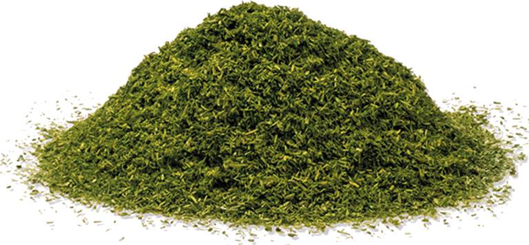 Army Painter - Battlefield Grass Green