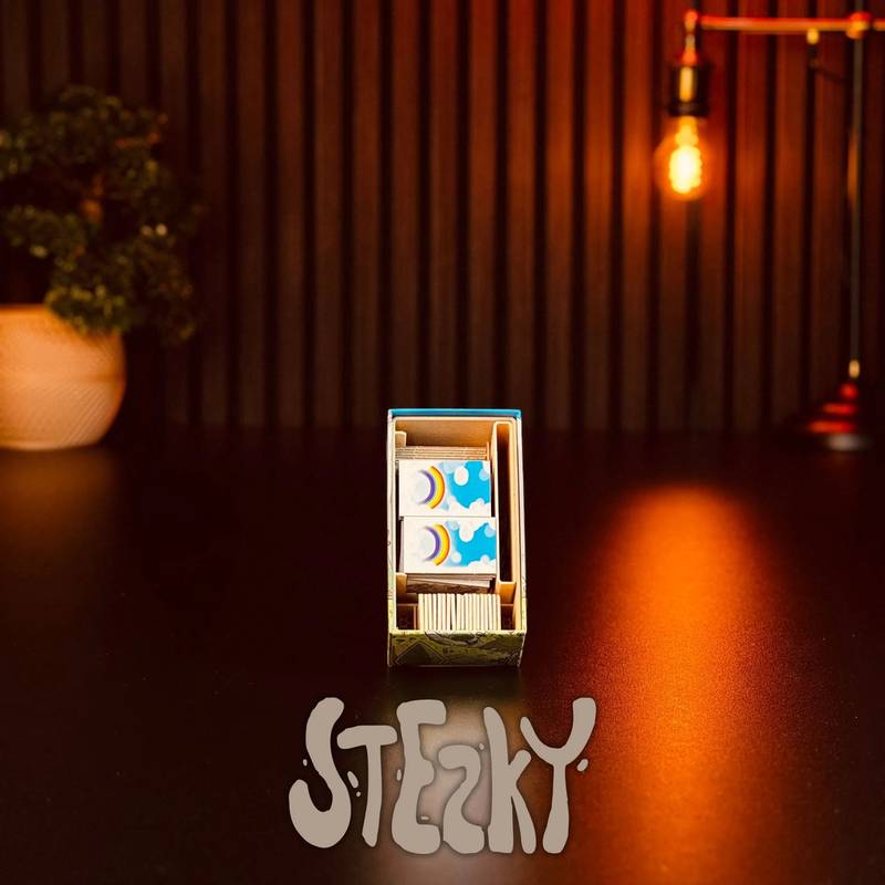 Stezky - INSERT do hry Varianta: Deluxe dřevo