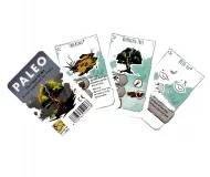 Paleo - Flash of Wit