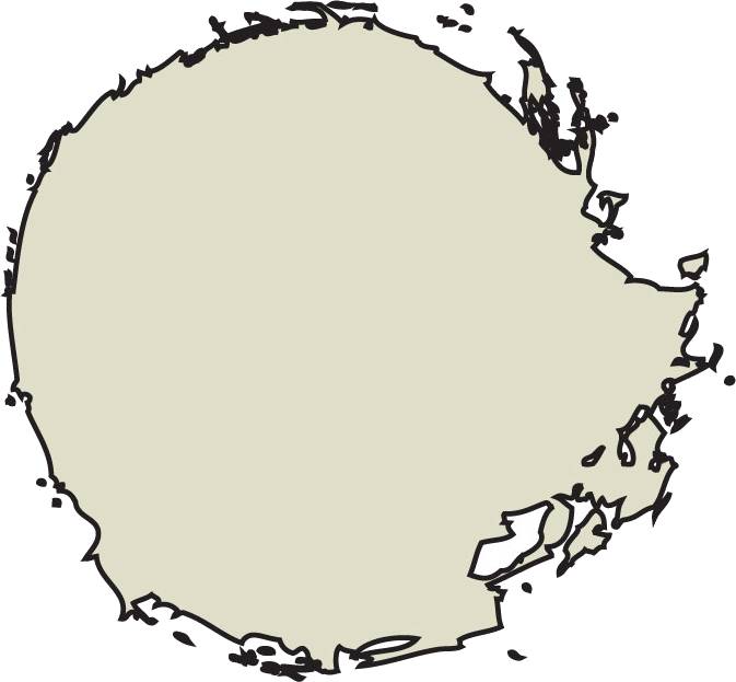 Dry Paint - Longbeard Grey