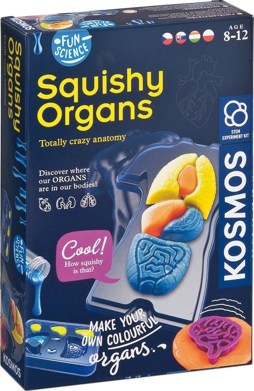 Experimentální sada: FS Lidské orgány