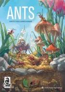 Ants