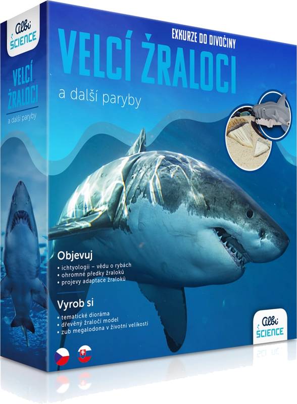 Exkurze do divočiny Velcí žraloci a další paryby