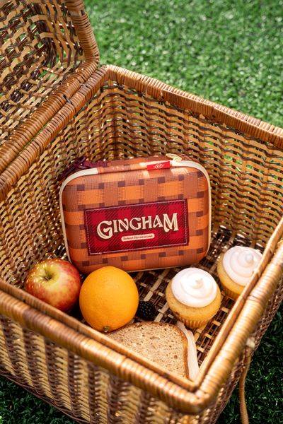 Gingham: Cestovní pouzdro