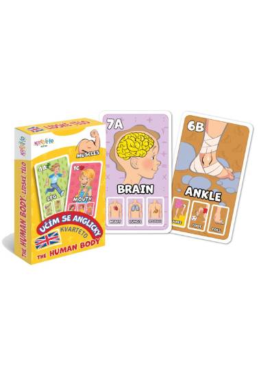 Kvarteto Učím se anglicky - The Human Body - Filip Škoda