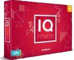 IQ Fitness: Tangram