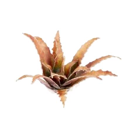 Dekorace GamersGrass: Laser Plants - Red Aloe