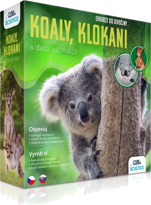 Exkurze do divočiny Koaly, klokani a další vačnatci