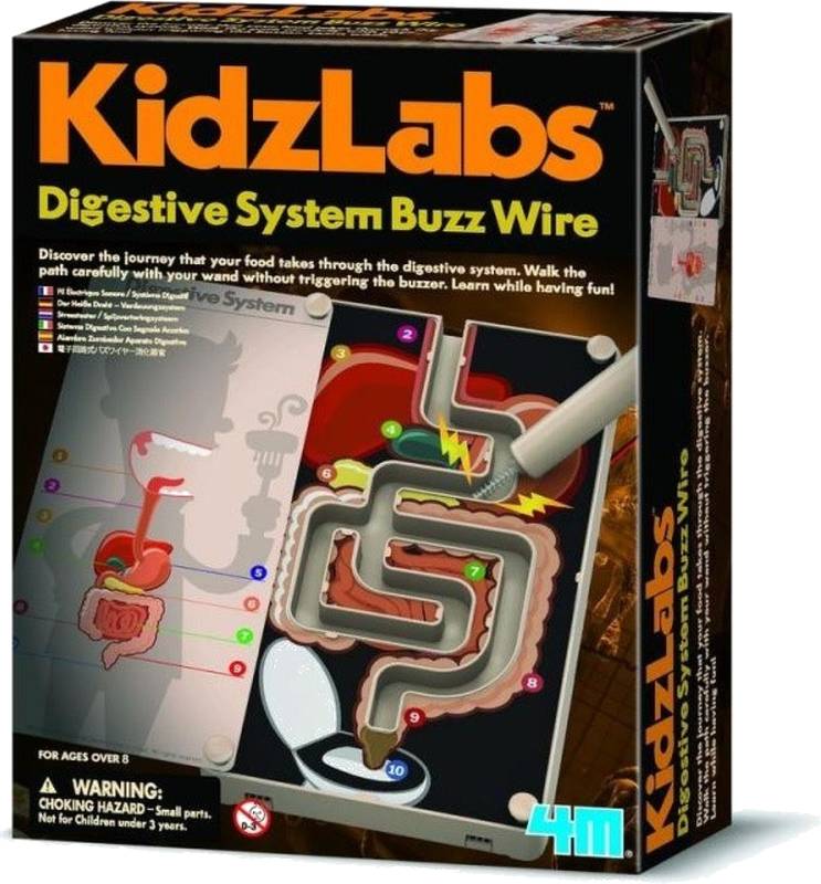 Kidzlabs trávící systém