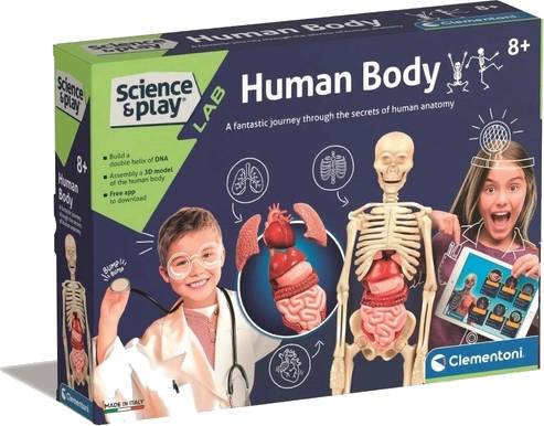 SciencePlay: Lidské tělo