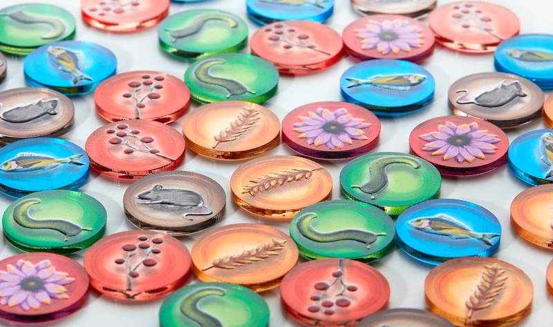 Token and Markers: Wingspan + expansions Token Set